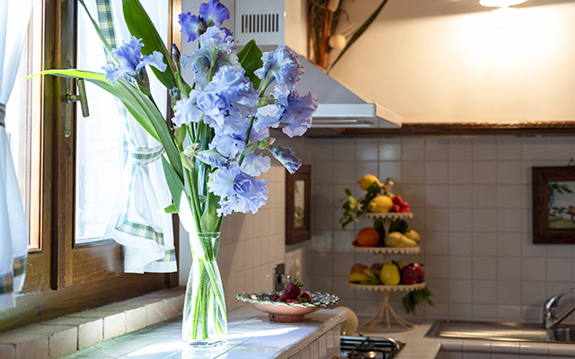 Il Mastro carraio Aurelio - Agriturismo la Rombaia a Castiglione della Pescaia